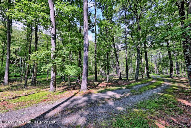 379 Joel M Austin Road S, Cairo, NY 12413