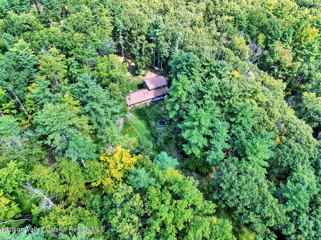 379 Joel M Austin Road S, Cairo, NY 12413