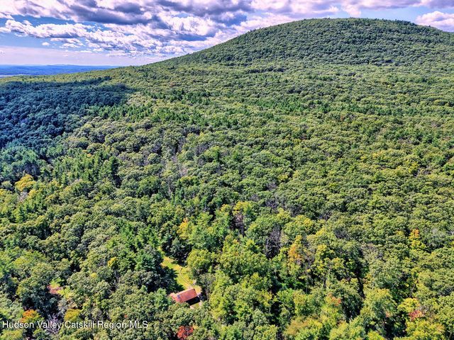 379 Joel M Austin Road S, Cairo, NY 12413