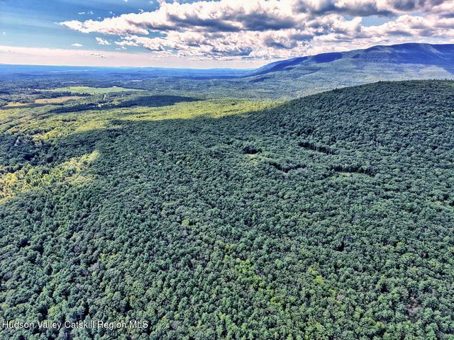 379 Joel M Austin Road S, Cairo, NY 12413