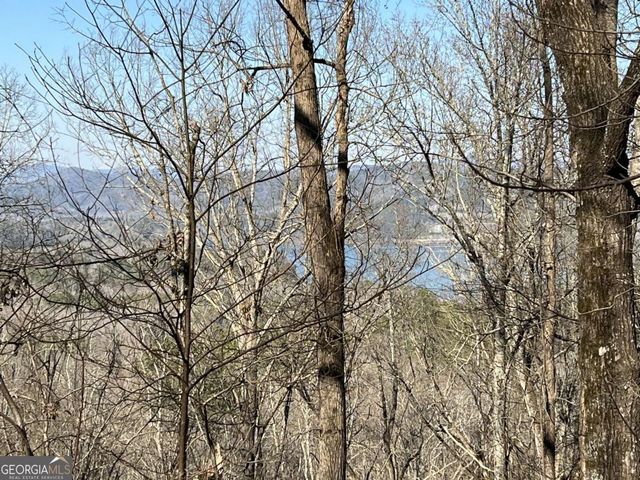 LOT 326 Adair Drive, Ranger, GA 30734