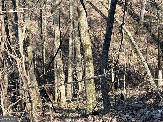 LOT 326 Adair Drive, Ranger, GA 30734