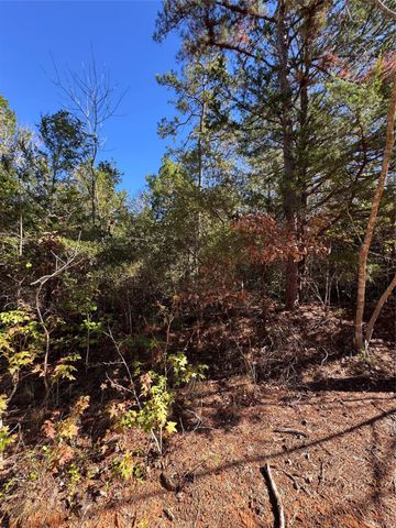 00 Fagan Dr Drive, Livingston, TX 77351