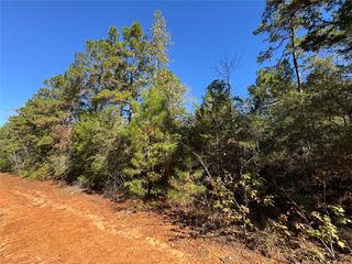 00 Fagan Dr Drive, Livingston, TX 77351