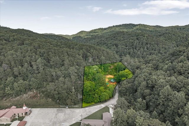 229 Smokey Run Road, Tellico Plains, TN 37385