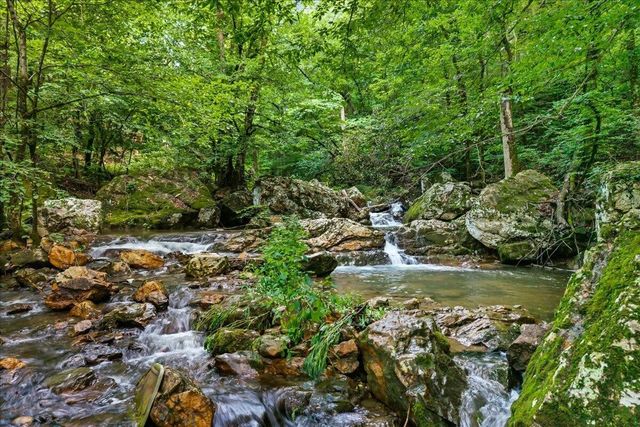 229 Smokey Run Road, Tellico Plains, TN 37385