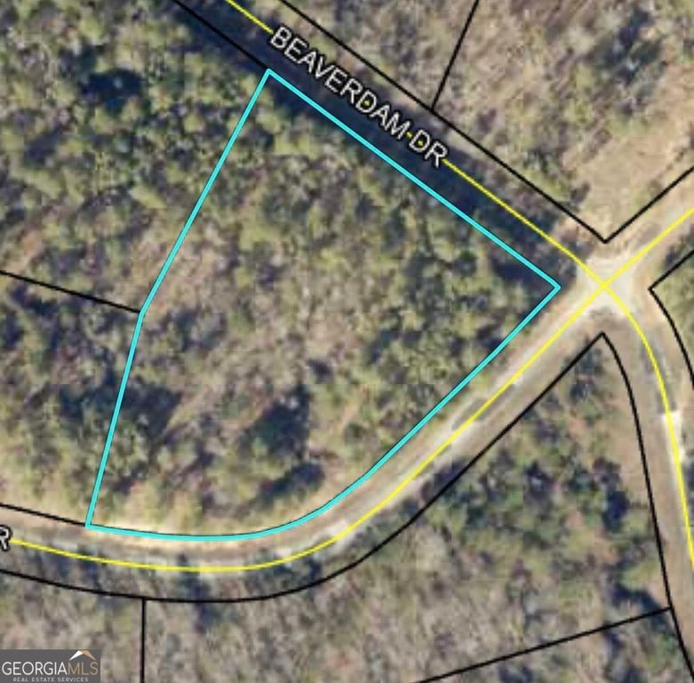 0 LOT 29 Lakeside Drive, Elberton, GA 30635 — photo 4