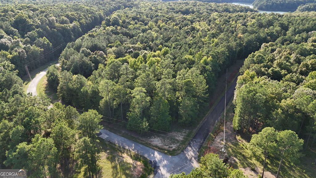 0 LOT 29 Lakeside Drive, Elberton, GA 30635 — photo 5