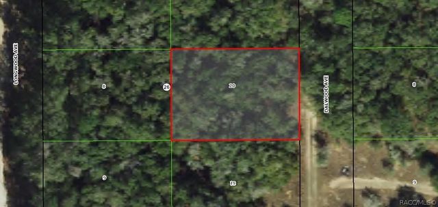 703 Dalwood Avenue, Inverness, FL 34453
