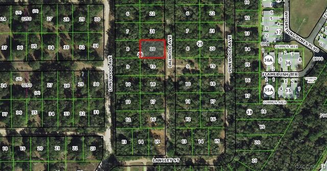 703 Dalwood Avenue, Inverness, FL 34453