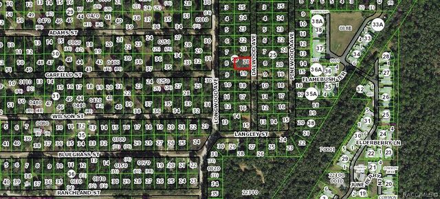 703 Dalwood Avenue, Inverness, FL 34453