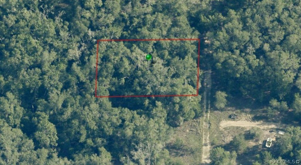 703 Dalwood Avenue, Inverness, FL 34453