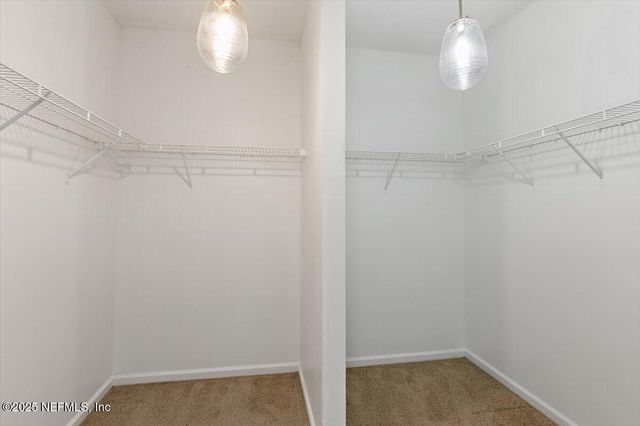 360 SUMMIT Drive, Orange Park, FL 32073