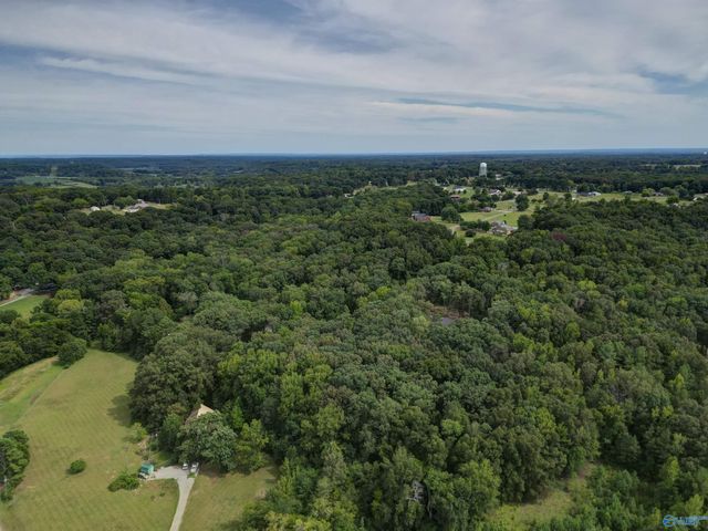 lot 14 County Road 379, Trinity, AL 35673