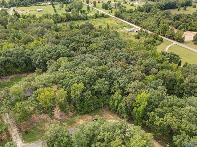 lot 14 County Road 379, Trinity, AL 35673