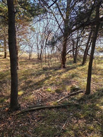 1385 N Fm 1752, Savoy, TX 75479