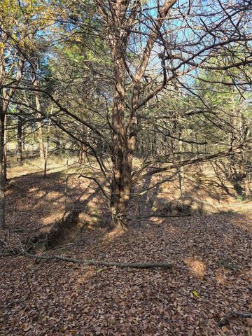 1385 N Fm 1752, Savoy, TX 75479