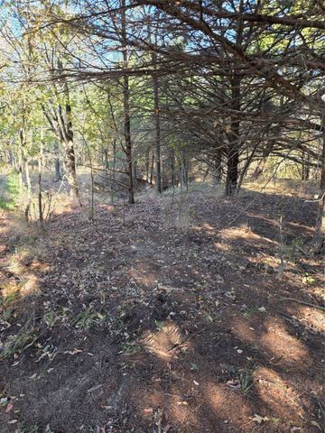 1385 N Fm 1752, Savoy, TX 75479