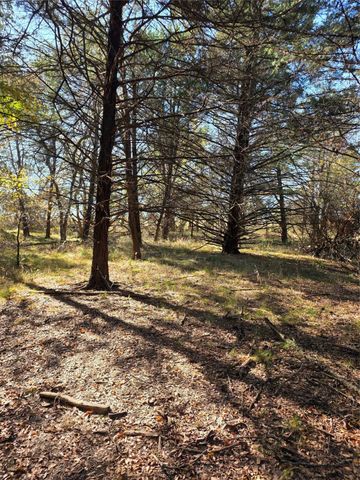 1385 N Fm 1752, Savoy, TX 75479