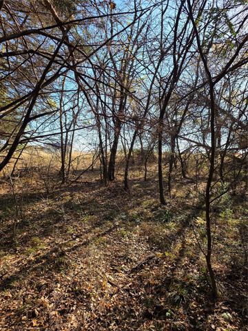 1385 N Fm 1752, Savoy, TX 75479