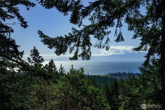 391 Little Mountain Road, Friday Harbor, WA 98250