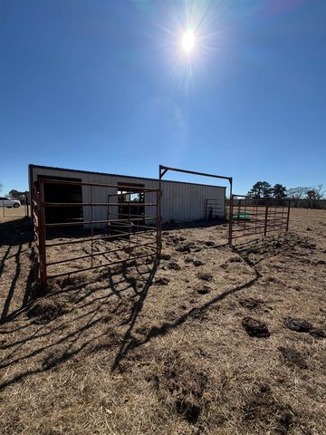 1730 BLACKBURN ROAD, Diana, TX 75640