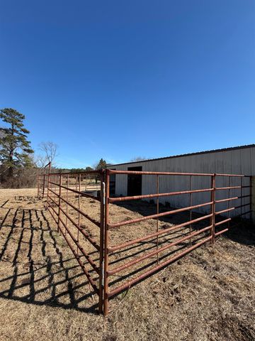 1730 BLACKBURN ROAD, Diana, TX 75640