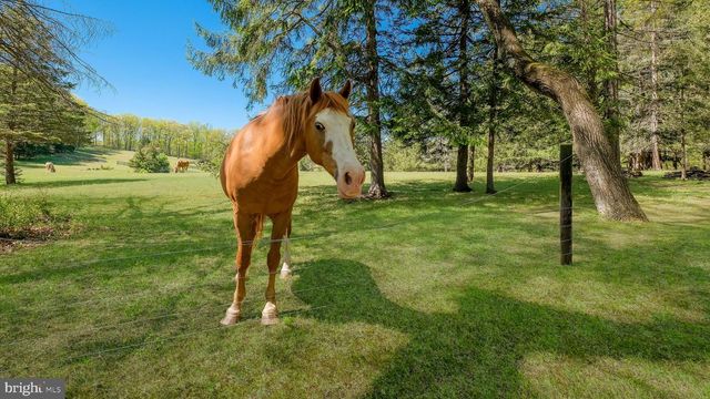 135 EQUESTRIAN DR, New Hope, PA 18938