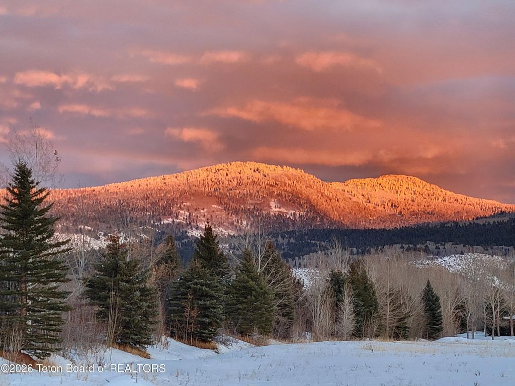 236 SWALLOWTAIL Drive, Victor, ID 83455 photo 38