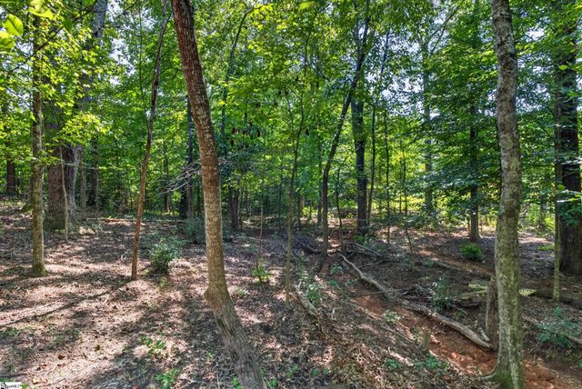 316 Oak Grove Road, Landrum, SC 29356