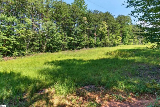 316 Oak Grove Road, Landrum, SC 29356