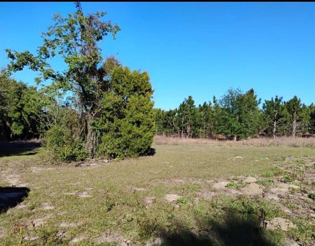 0 SOUTH LAKE HIAWATHA DRIVE, Lady Lake, FL 32159