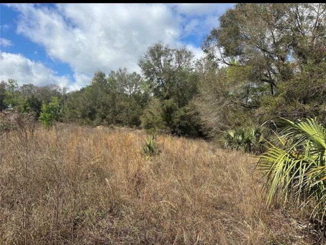 0 SOUTH LAKE HIAWATHA DRIVE, Lady Lake, FL 32159