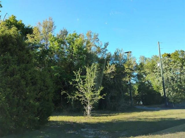 0 SOUTH LAKE HIAWATHA DRIVE, Lady Lake, FL 32159