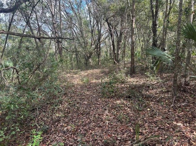 0 SOUTH LAKE HIAWATHA DRIVE, Lady Lake, FL 32159