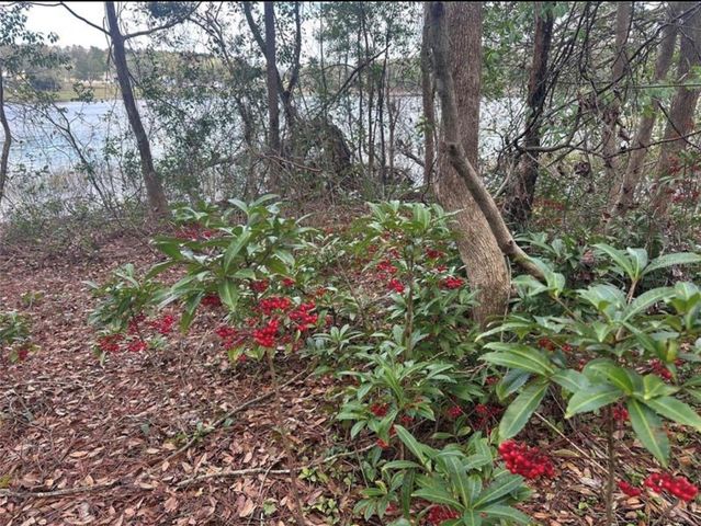 0 SOUTH LAKE HIAWATHA DRIVE, Lady Lake, FL 32159