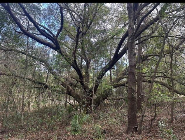 0 SOUTH LAKE HIAWATHA DRIVE, Lady Lake, FL 32159