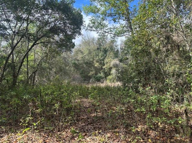 0 SOUTH LAKE HIAWATHA DRIVE, Lady Lake, FL 32159