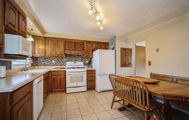 516 Janine Lane, Schaumburg, IL 60193