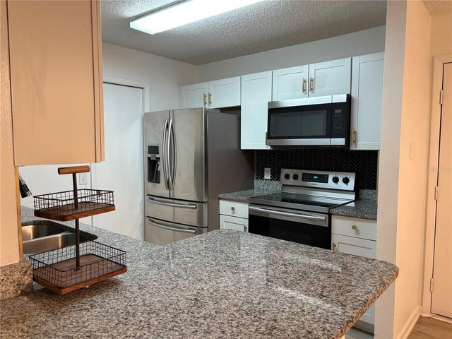 15215 AMBERLY DRIVE 1002, Tampa, FL 33647