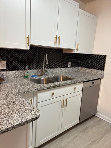 15215 AMBERLY DRIVE 1002, Tampa, FL 33647