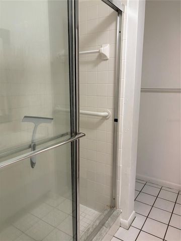 15215 AMBERLY DRIVE 1002, Tampa, FL 33647