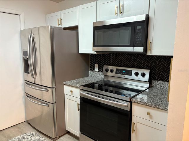 15215 AMBERLY DRIVE 1002, Tampa, FL 33647