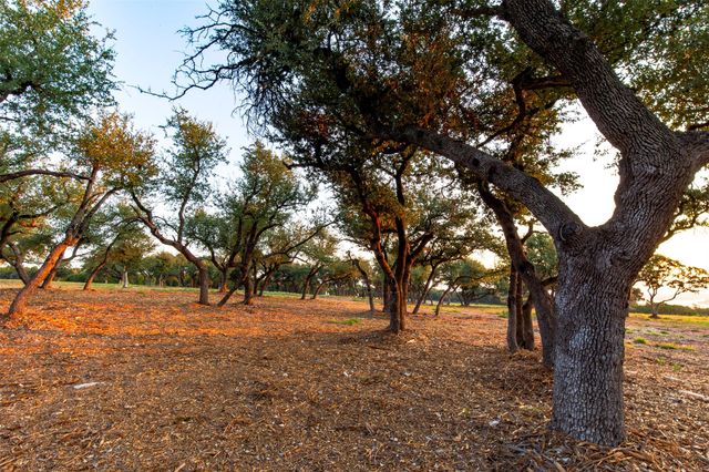 20105 West Lake PKWY, Georgetown, TX 78628