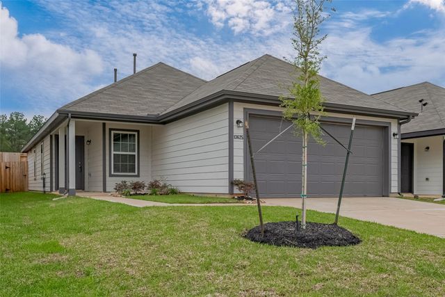 13625 Goldeye Drive, Conroe, TX 77384