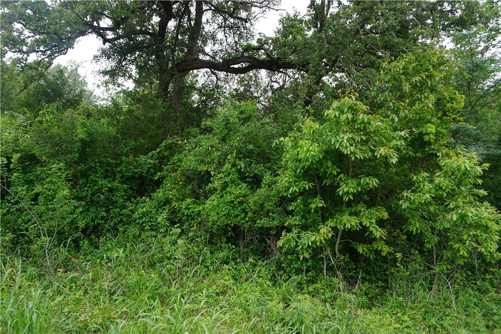 TBD Creek Side Cir, Caldwell, TX 77836 — photo 2