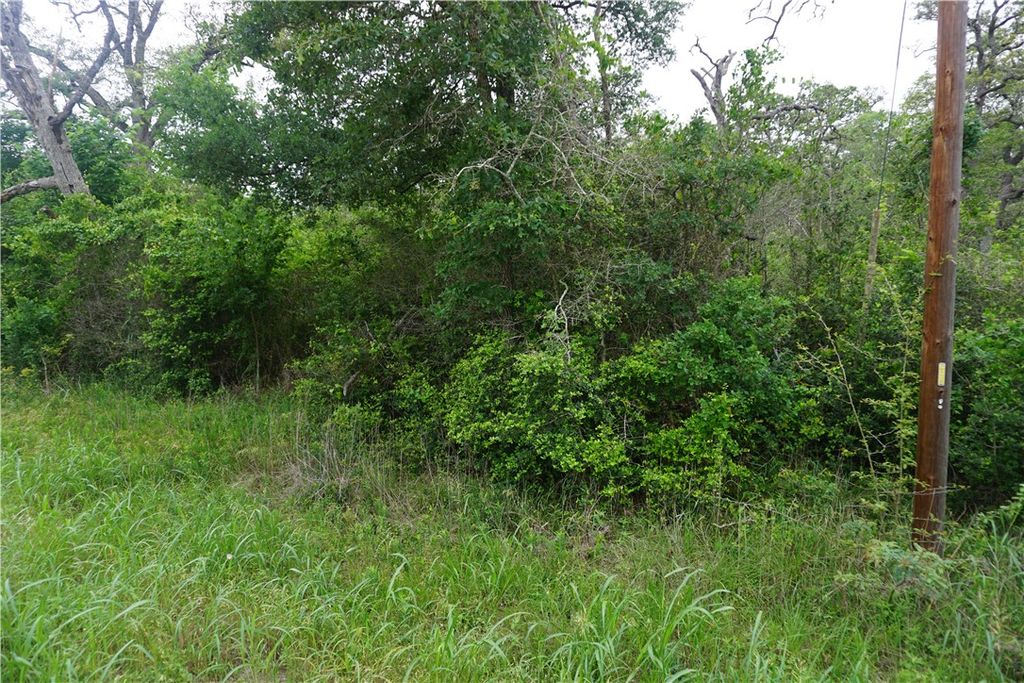 TBD Creek Side Cir, Caldwell, TX 77836 — photo 3