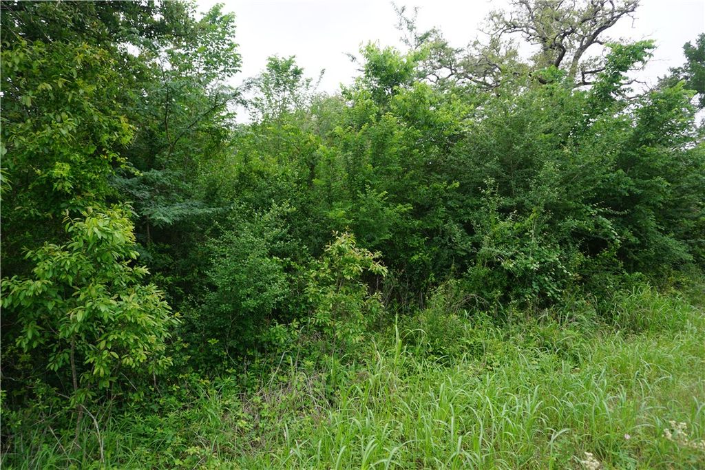 TBD Creek Side Cir, Caldwell, TX 77836 — photo 4