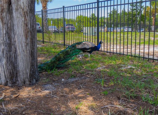 10446 SCENIC LAKE DRIVE, Weeki Wachee, FL 34613