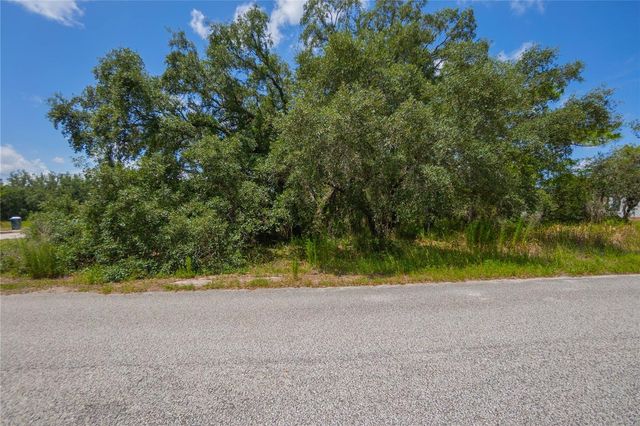 10446 SCENIC LAKE DRIVE, Weeki Wachee, FL 34613
